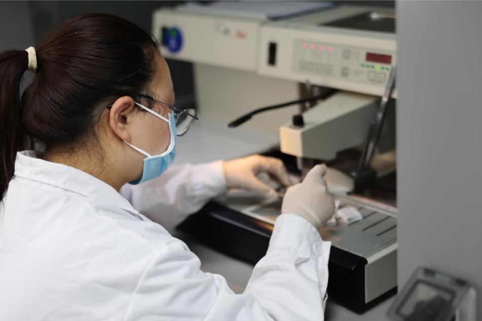 体内/外药效学研究(图2) WPS图片(1).jpg