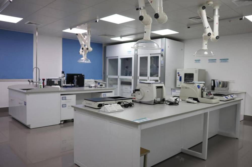 体内/外药代动力学研究(图1) WPS图片(1).jpg