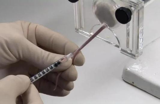 早期安全性评价研究(图2) 1.jpg