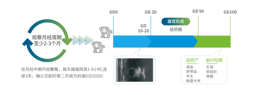遗传毒性试验(图2) xz_img16.png